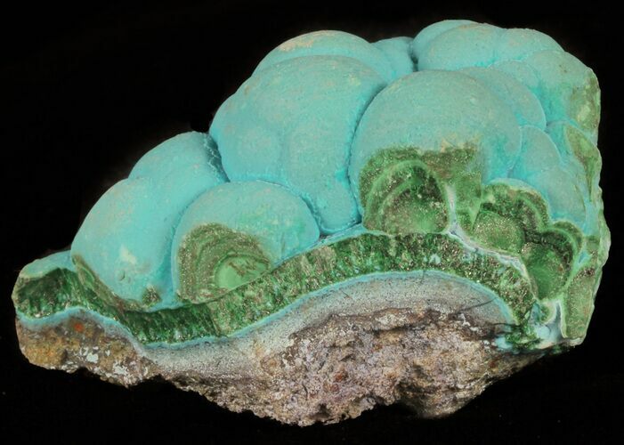 Botryoidal Chrysocolla and Malachite - Congo #61753